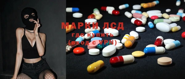 хмурый Алзамай