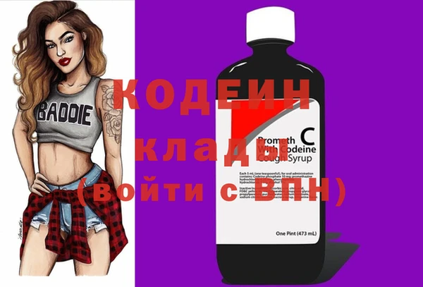 хмурый Алзамай