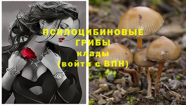 хмурый Алзамай