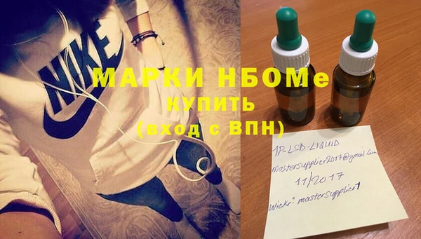 хмурый Алзамай