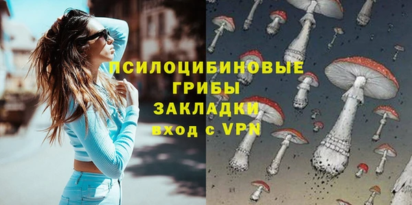 хмурый Алзамай