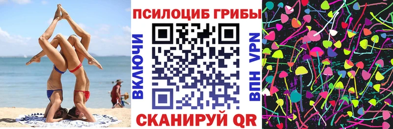 Псилоцибиновые грибы Psilocybe закладки Добрянка